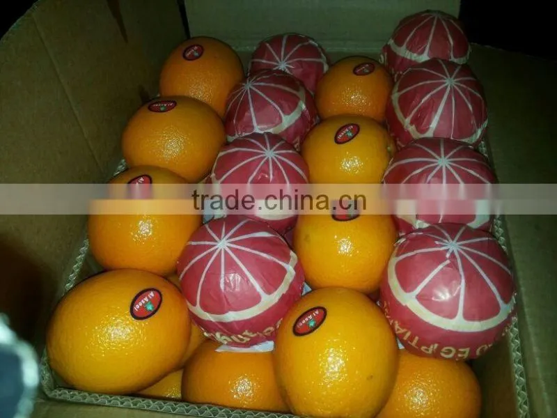 Egyptian Navel Orange With Best Quality