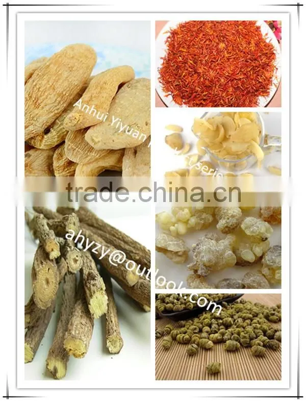 Bitter apricot kernel medicine from Gansu of China