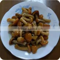 mackerel fish in tomato sauce