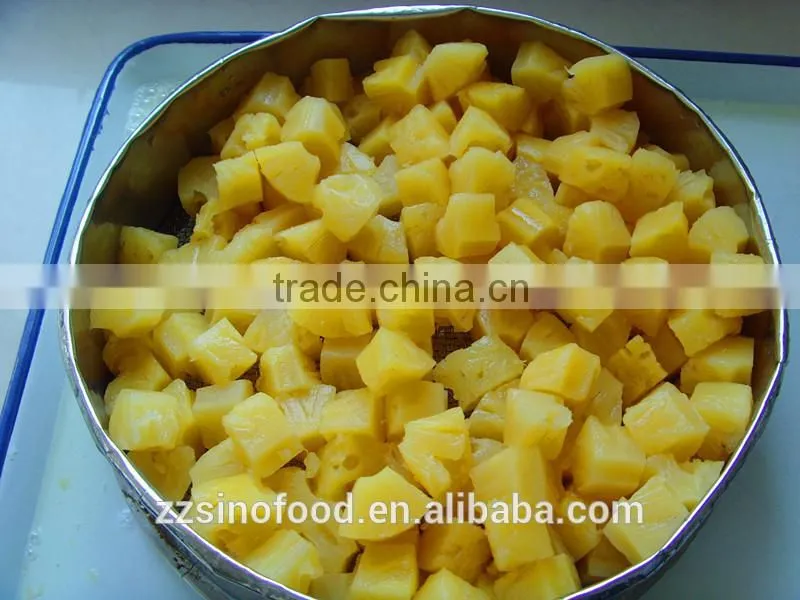 Canned Food Factory Canned Vegetable Water Chestnuts Slices