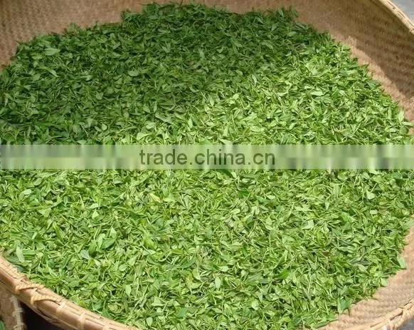 peanut roasting machine / Grean Tea leave roaster machine