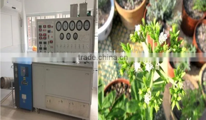 HA120-50-01 Houttuynia cordata oil devices, Supercritical CO2 Fluid Extraction Device, Extraction tobacco leaves essence oil