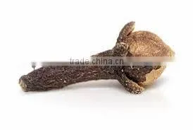 Clove Oil