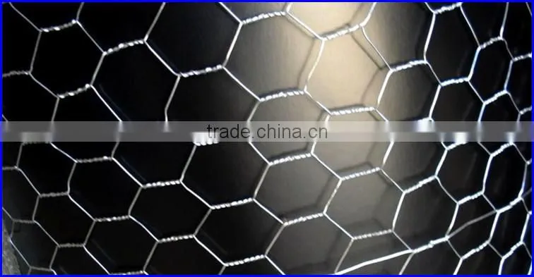 Galvanized Hex Wire Mesh / Chicken wire mesh / Hex wire mesh