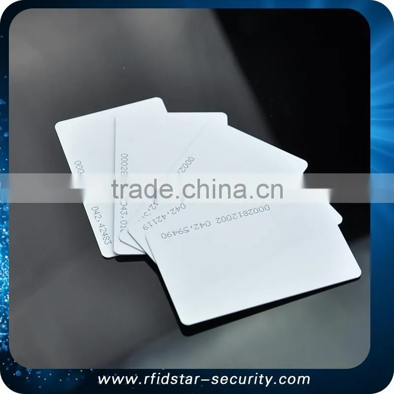 125KHz RFID EM ID Smart Plastic Mini Card