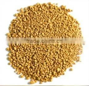 Nutrition Soil for Plants