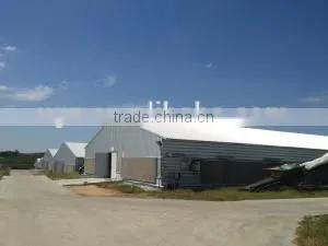 High Quality Prefabricated Chicken Shed and Chicken Farm