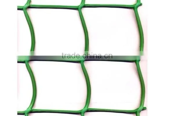 cucumber climb net/bean plant support net /Plant Support Net(Manufacturer)