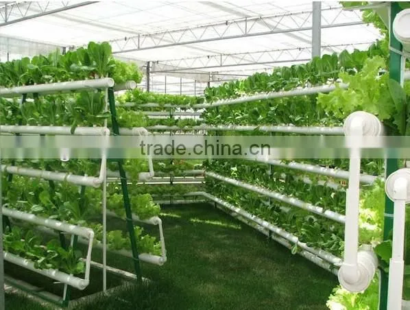 Saudi Arabia Hotselling Plastic Channel Hydroponic Gully