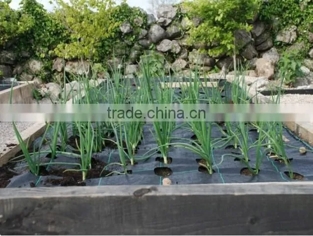 Organic weed barrier