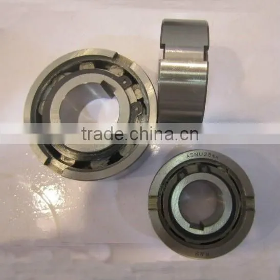 NFS15/ASNU15 Indexing Freewheel Clutch Bearing