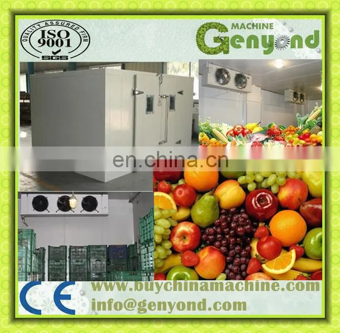 Apple/banana/orange/lemon Cold Storage,Cold Storage Room for sale