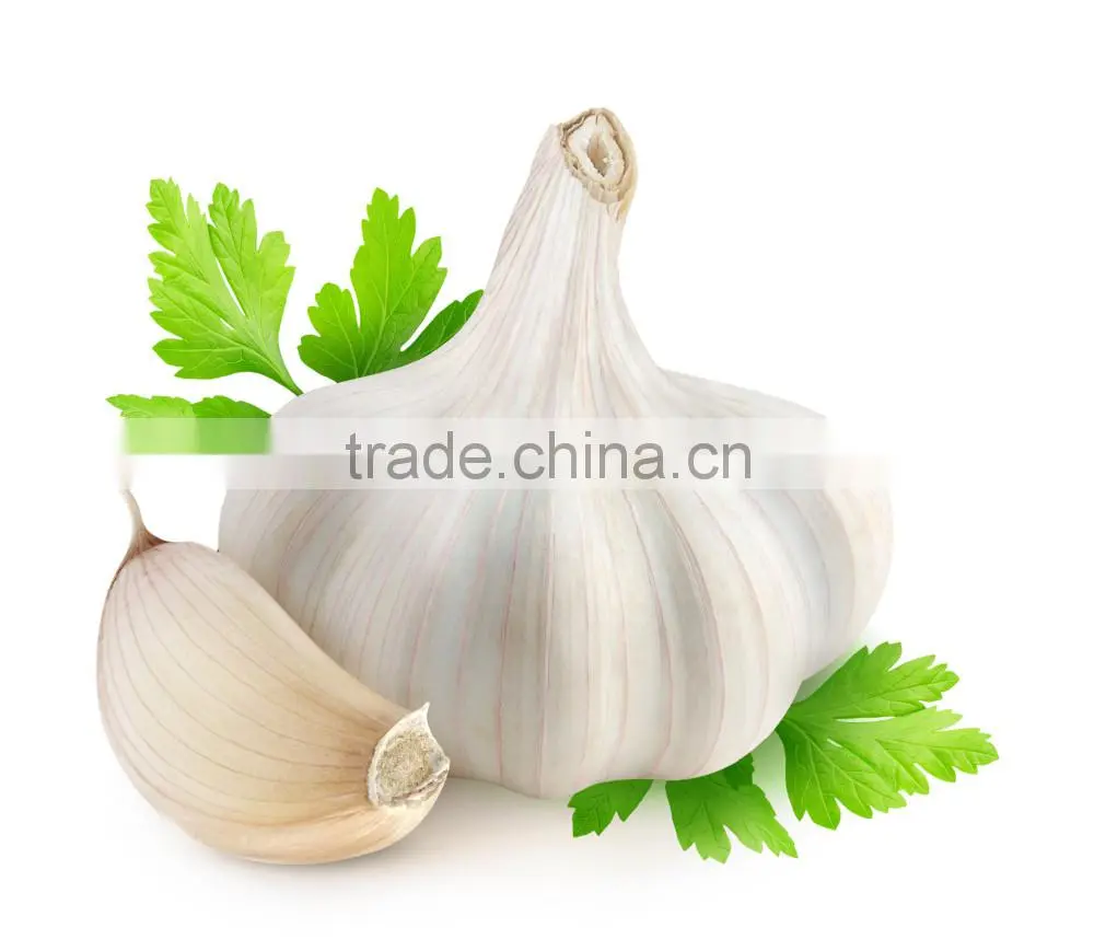 High quality Jinxiang export garlic