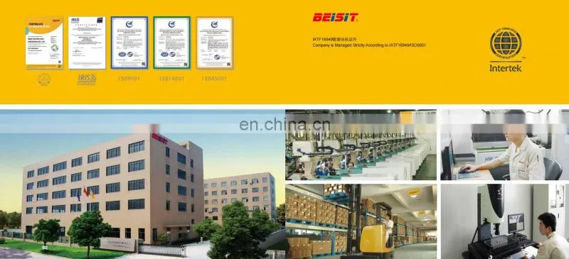 Beisit 12 pin Circular Connector M12 IEC 61076-2-101 For Automation Sensor