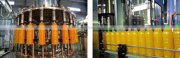 organic coconut water production line / coconut water processing plant