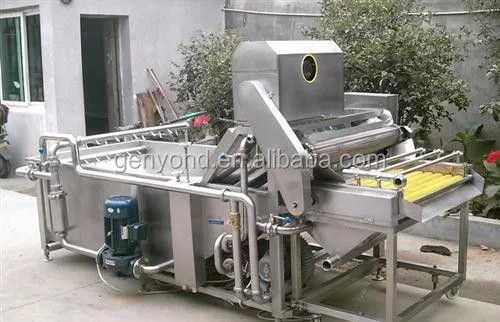 Vegetable Washing Machine/seaweed Packaging Machine/high Quality Kelp Cleaning Machine