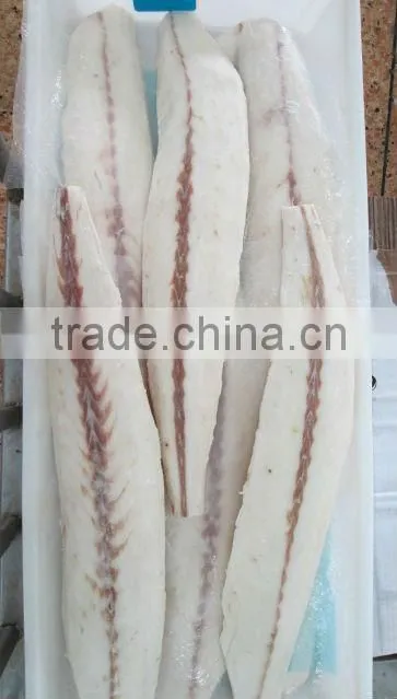 Fresh Frozen Oilfish fillets Hot saleing