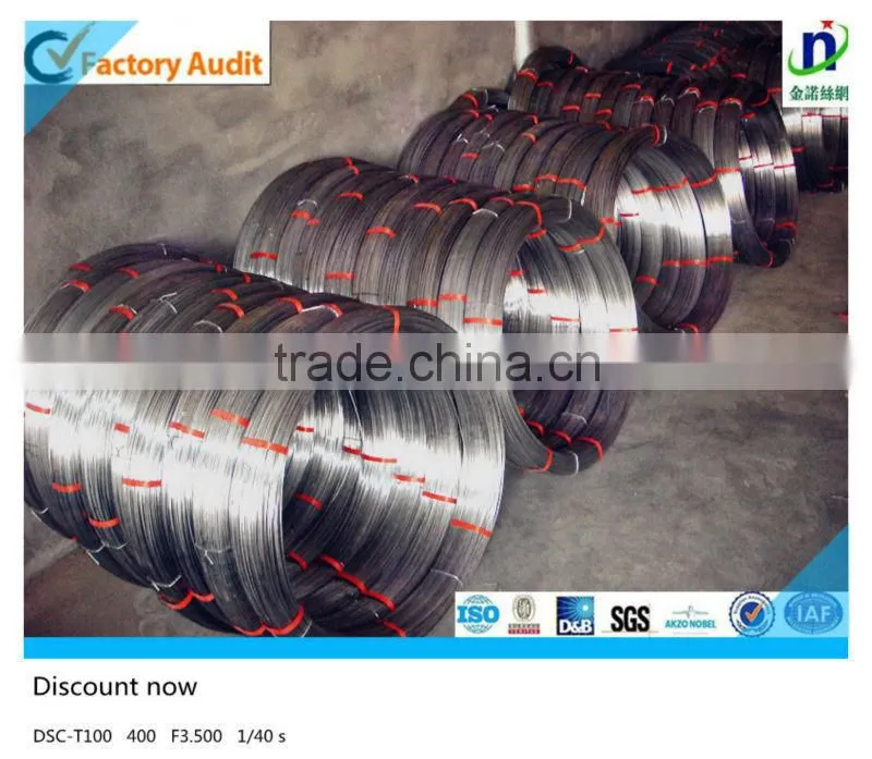 2.4X3.0 Galvanized Oval wire