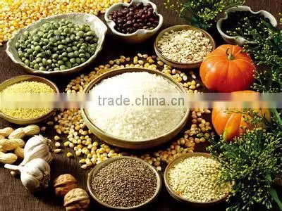 3.5T/D productivity sunflower oil filter press/grain oil press
