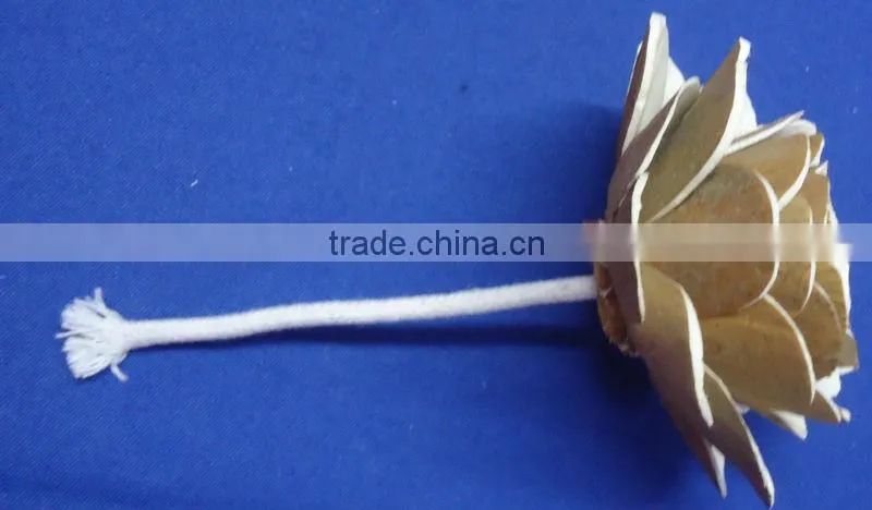Sola flower for decoration