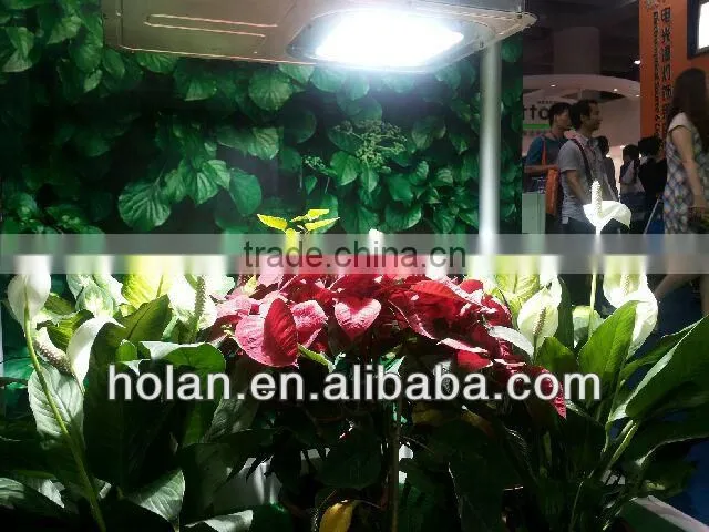 indoor plant grow lights