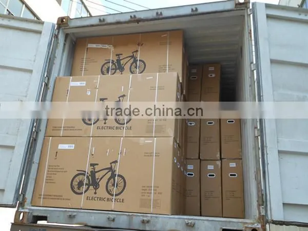 2015 Electric City Bike 250w LMTDF-19L
