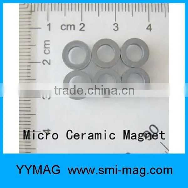 Tiny ring Micro magnet for Precision equipment