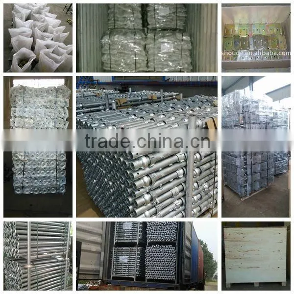 Fixed Drop Forged Scaffolding Single Coupler