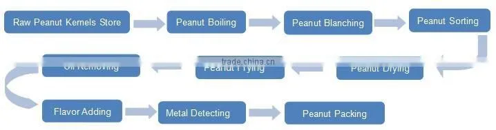 Continuous Peanut Fryer Frying Machine Nut Peanut Snacks Frying Production Line
