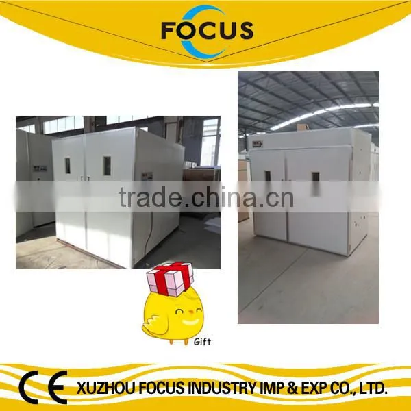 5000 chicken hatchery