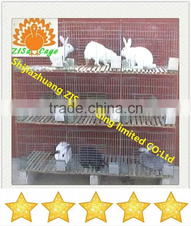 24 rabbits Automatic rabbit breeding cage equipment in kenya