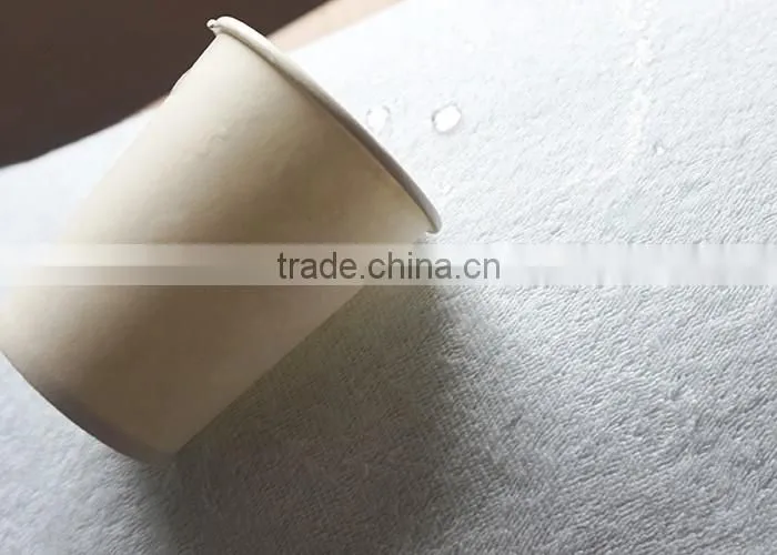 Waterproof bamboo terry cloth pillow case wholesale / protector cover