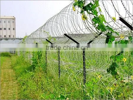 Razor blade Wire mesh from xinhong factory