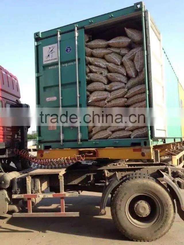 red skin peanuts in shell 50/60 40/50 , EU standard
