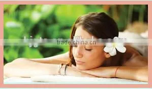 2014 Professional Skin Care GTO Derma Roller 540
