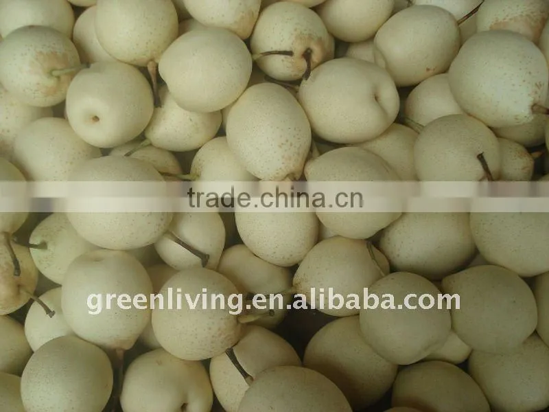 taste best fresh ya pear (white colour)