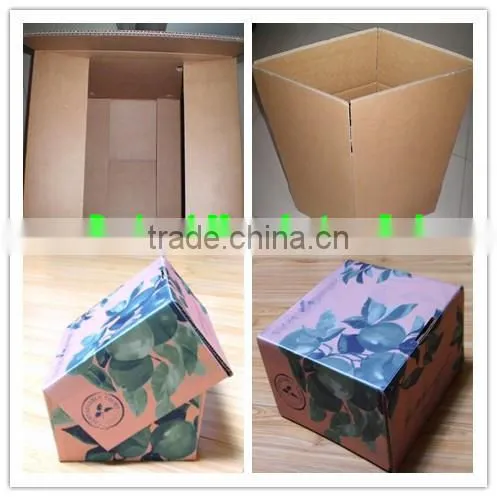 Manufacture Box for Fresh Cabbage