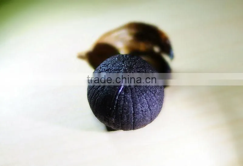 high quality black garlic wiht healthy benefit
