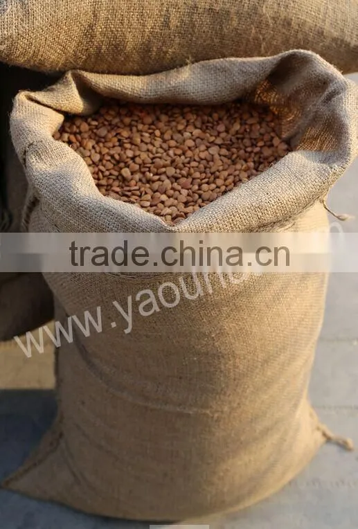 Bitter Apricot Kernels