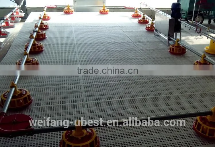 Poultry farm equipment for breeder
