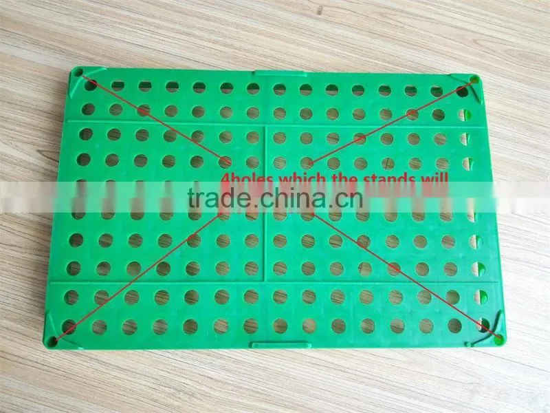 China best selling plastic egg crate tray for quail eggs delivery