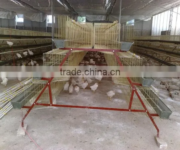 chicken adult cage on sale.