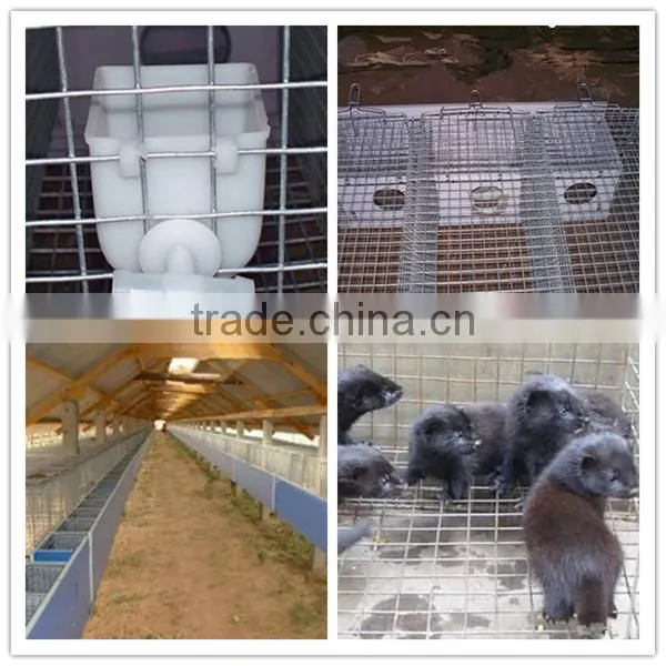 Mink Breeding/Mink Farming Cage