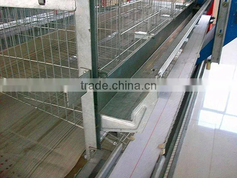 stepped automated chicken feed equipment for chicken farm