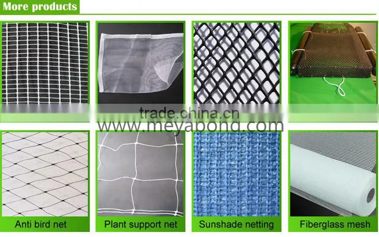 Climbing plant support trellis netting