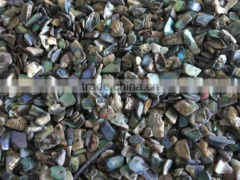 Natural paua crushed abalone shell chips