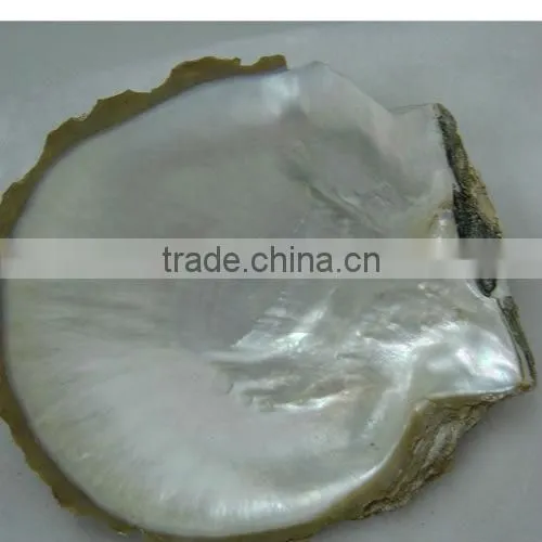 square cut thick white MOP shell blank inlays