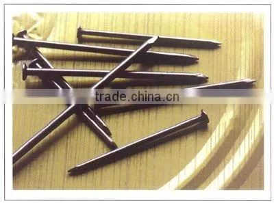 common iron nail