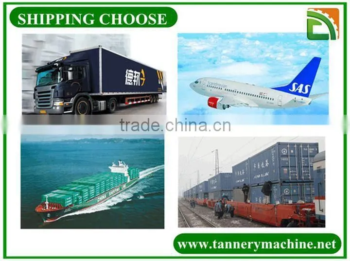 saw blade sharpening machine price among worldwide