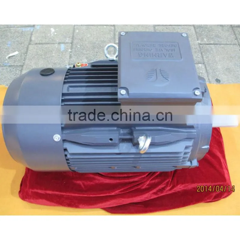 IE3 Standard High Efficiency Cast Iron Three Phase Electric Motor T3C 160L 2